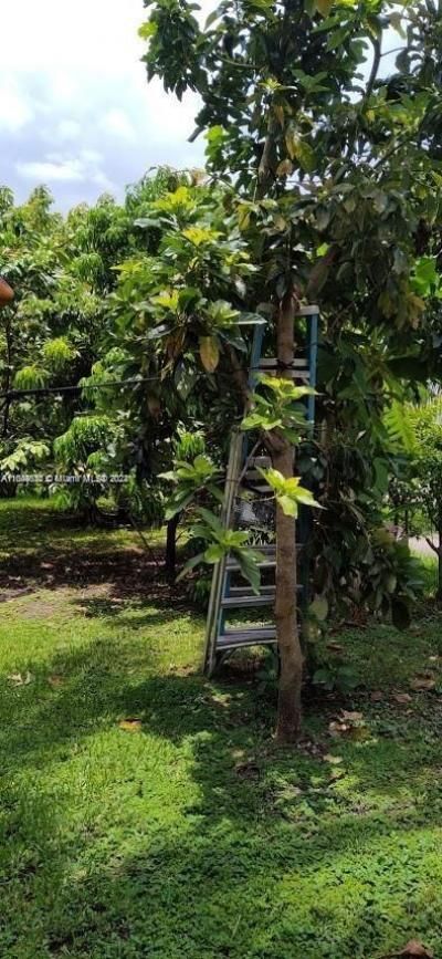 157th Ct SW 65th Terrace, Miami, FL 33193 Photo