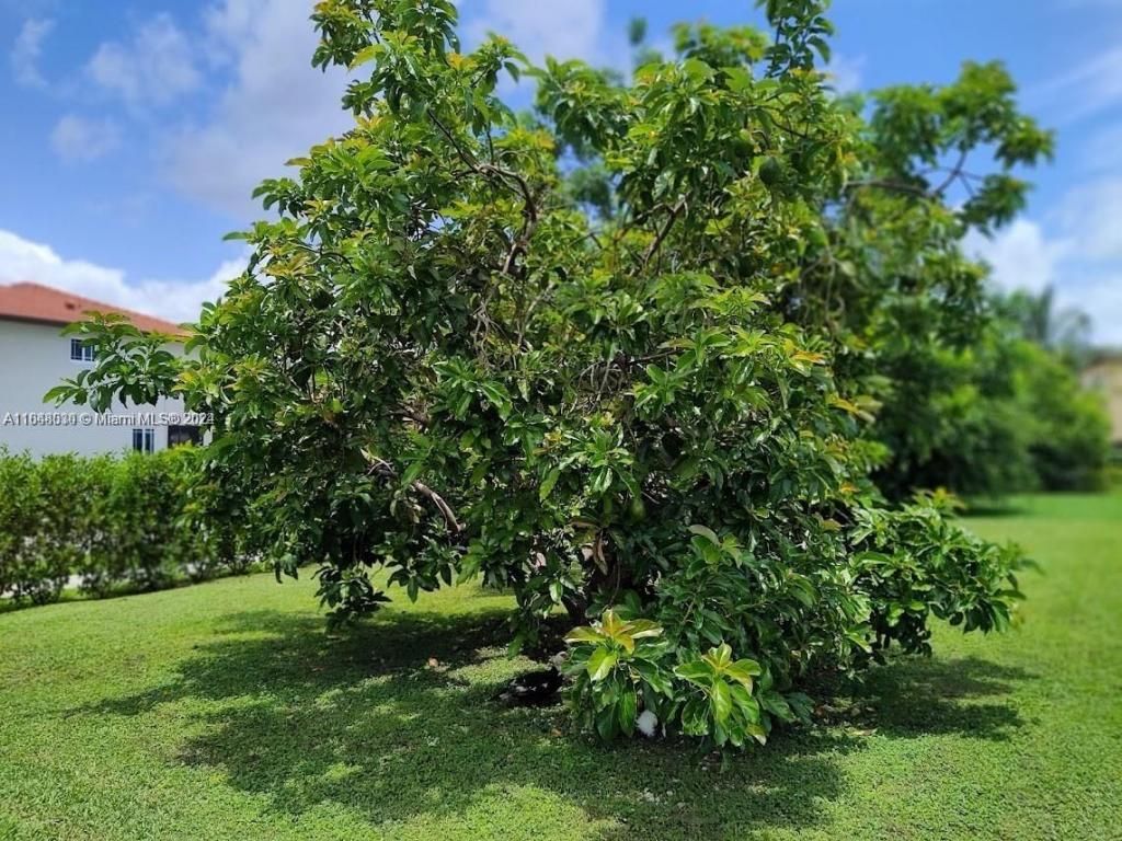 157th Ct SW 65th Terrace, Miami, FL 33193 Photo