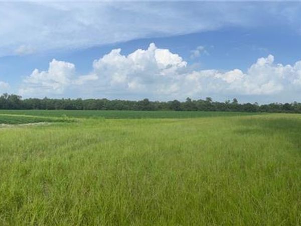 0 Presley Street, Atmore, AL 36502