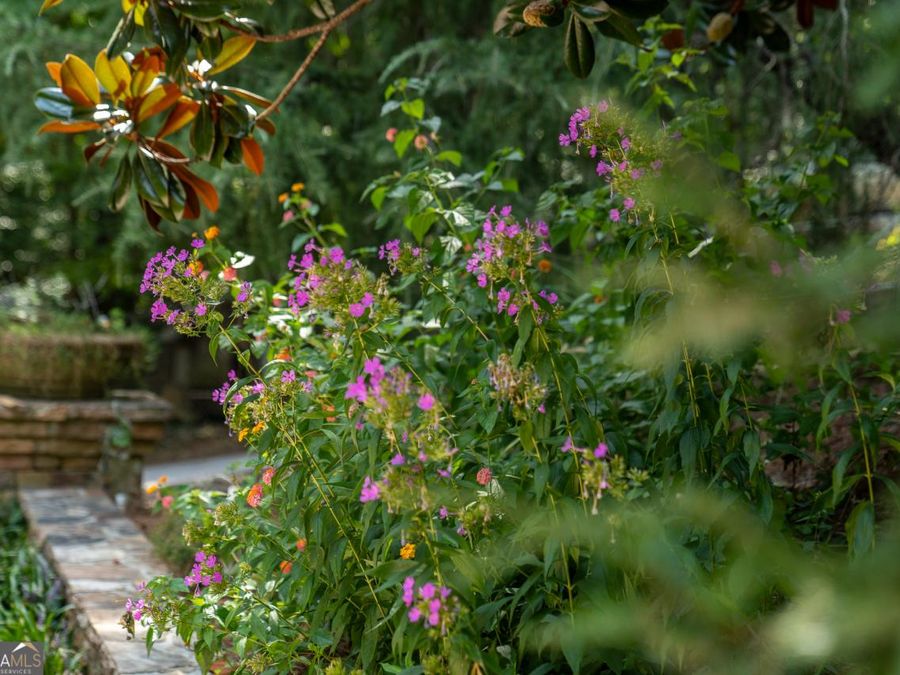 Property Image 128