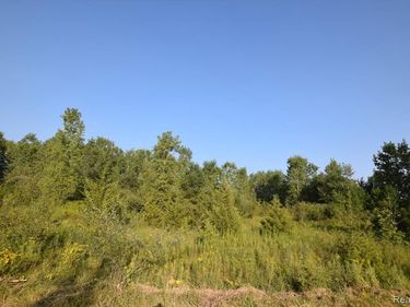 8506 DUFFIELD Road, Flushing Twp, MI 48433