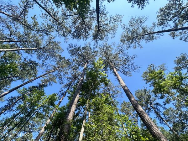 Nolan Felder Road, Magnolia, MS 39652