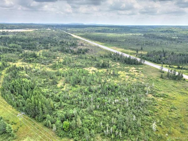 TBD Co Rd SY Road, Wells Twp, MI 49819