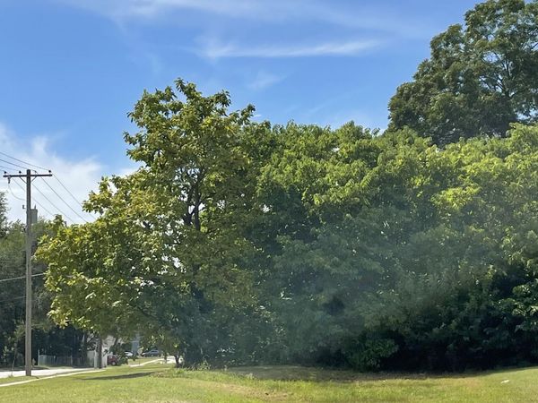 1547 E Florida Street, Springfield, MO 65803