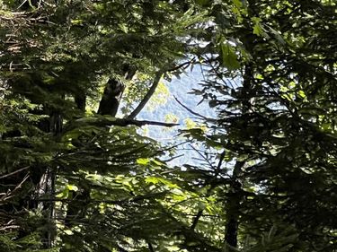 TBD SHAMOKIN SPRINGS TRL, Roseland, VA 22967