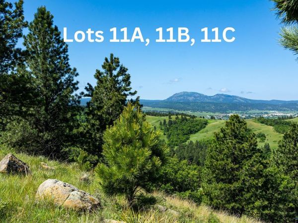 Tract 11A LOOKOUT VISTA RD, Spearfish, SD 57783