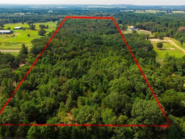 TBD CR 3606, Brownsboro, TX 75756