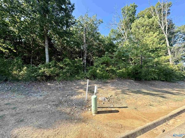 2315 Selma Street SW, Decatur, AL 35603