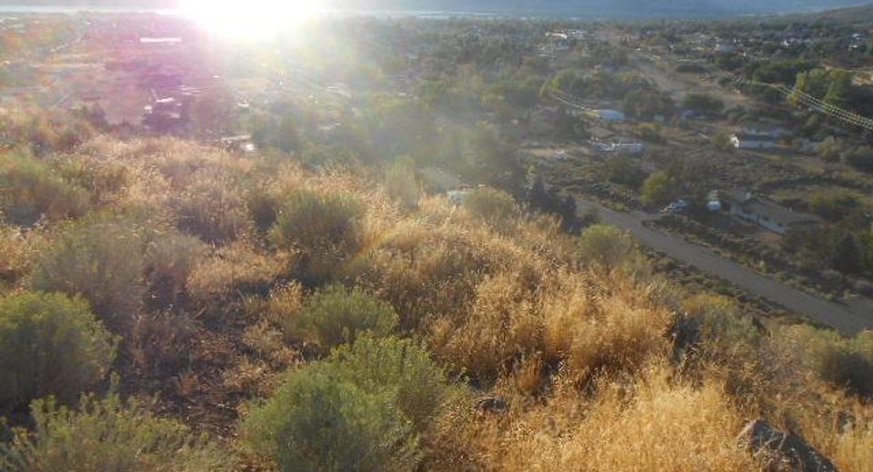 4340 Jumbo Grade, Washoe Valley, NV 89704 Photo