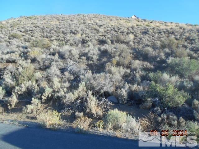 4340 Jumbo Grade, Washoe Valley, NV 89704 Photo