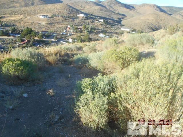 4340 Jumbo Grade, Washoe Valley, NV 89704 Photo