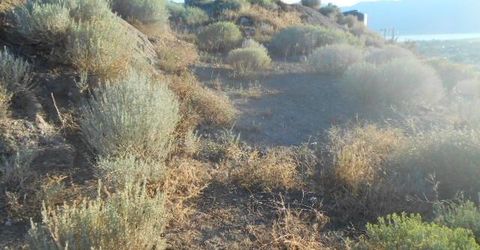 4340 Jumbo Grade, Washoe Valley, NV 89704 Photo