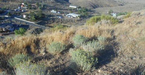 4340 Jumbo Grade, Washoe Valley, NV 89704 Photo