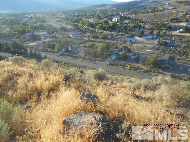 4340 Jumbo Grade, Washoe Valley, NV 89704 Photo