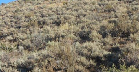 4340 Jumbo Grade, Washoe Valley, NV 89704 Photo