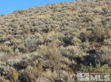 4340 Jumbo Grade, Washoe Valley, NV 89704 Photo