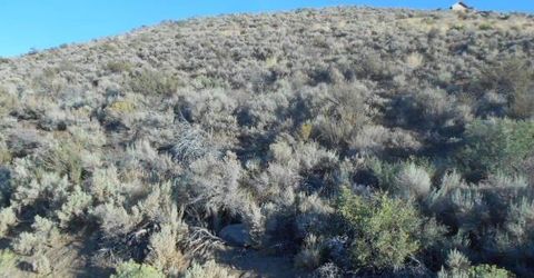 4340 Jumbo Grade, Washoe Valley, NV 89704 Photo