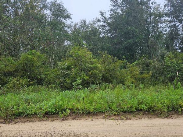 TBD SE KACHINA AVENUE, Lee, FL 32059