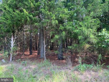 0 TIDEWATER TRAIL, CENTER CROSS, VA 22437