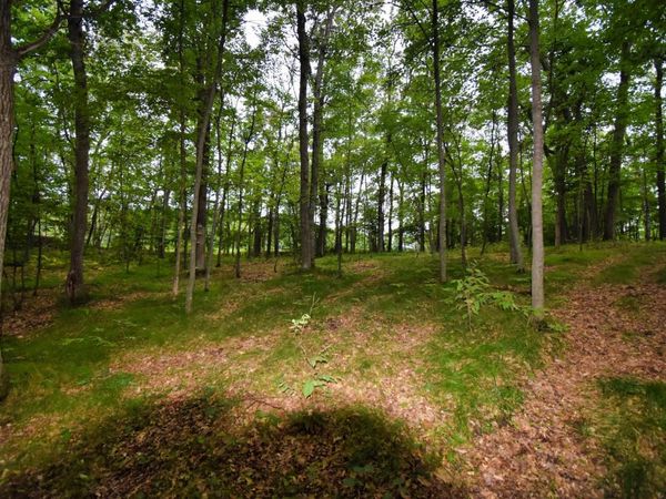 TBD Osceola Circle, Breezy Point, MN 56472