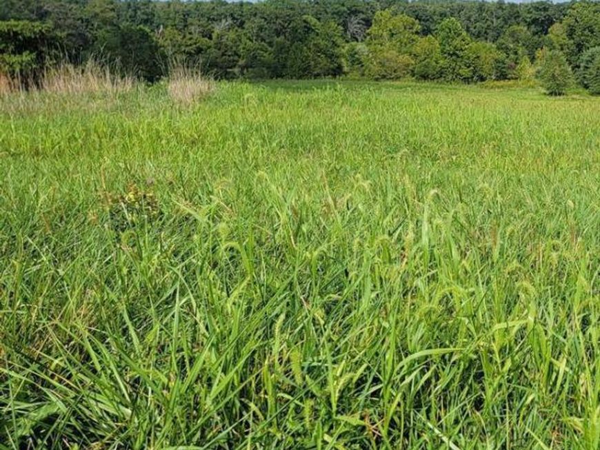 555 Middle Creek Road, Fairfield, PA 17320 Main Photo