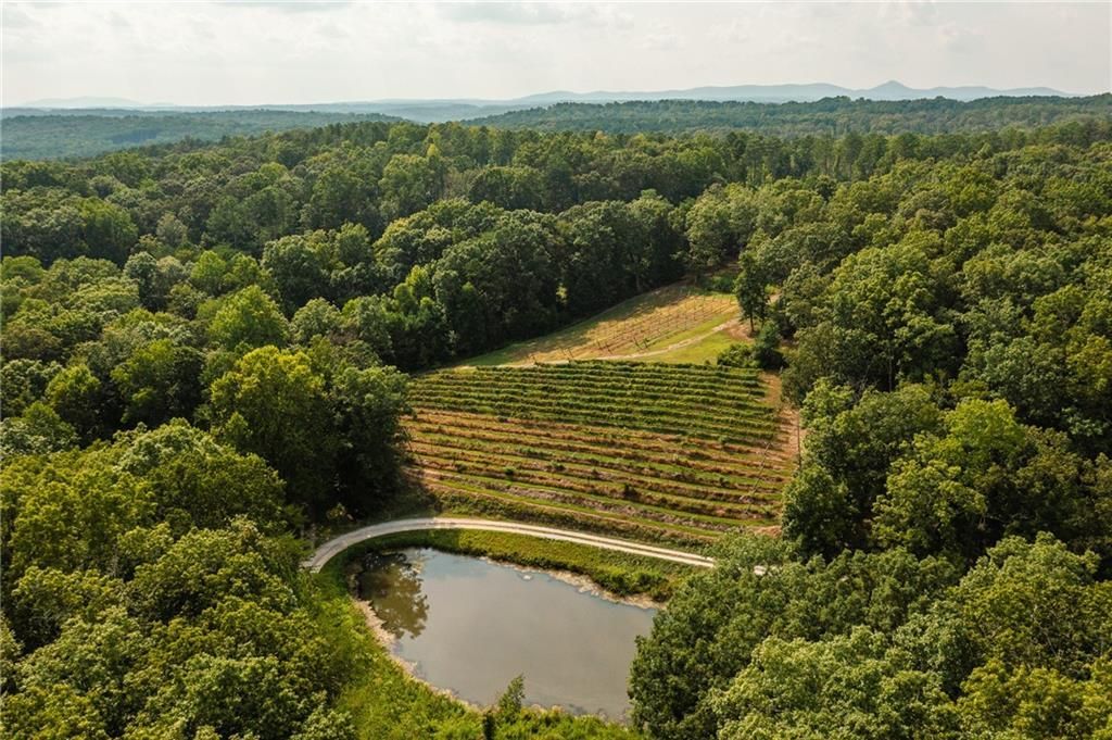 9975 Ball Ground Highway, Ball Ground, GA 30107 Main Photo