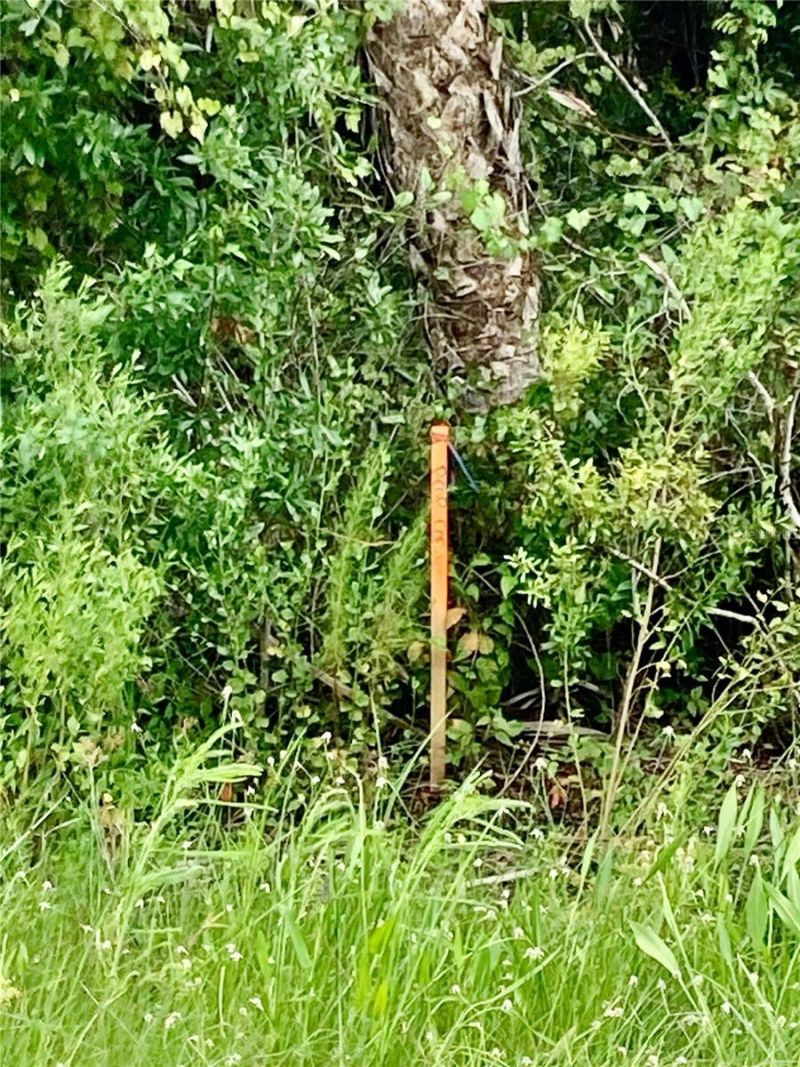 26373 & 26377 Deer Road, Punta Gorda, FL 33955 Photo