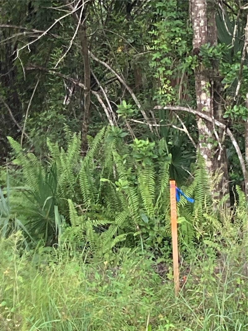 26373 & 26377 Deer Road, Punta Gorda, FL 33955 Photo