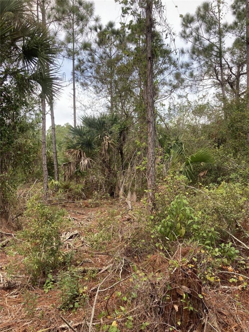 26373 & 26377 Deer Road, Punta Gorda, FL 33955 Photo