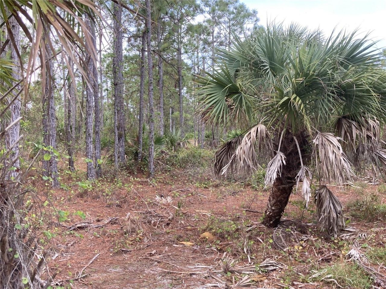 26373 & 26377 Deer Road, Punta Gorda, FL 33955 Photo