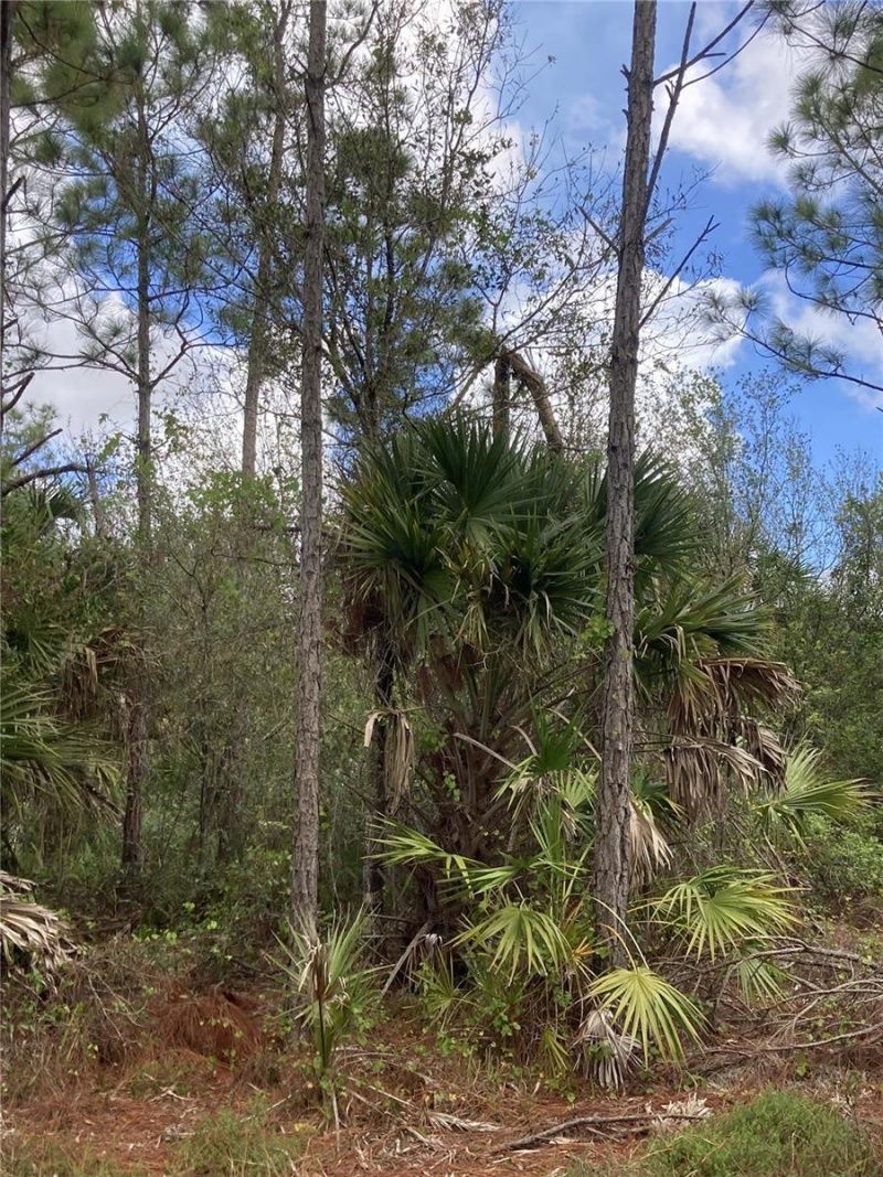 26373 & 26377 Deer Road, Punta Gorda, FL 33955 Photo