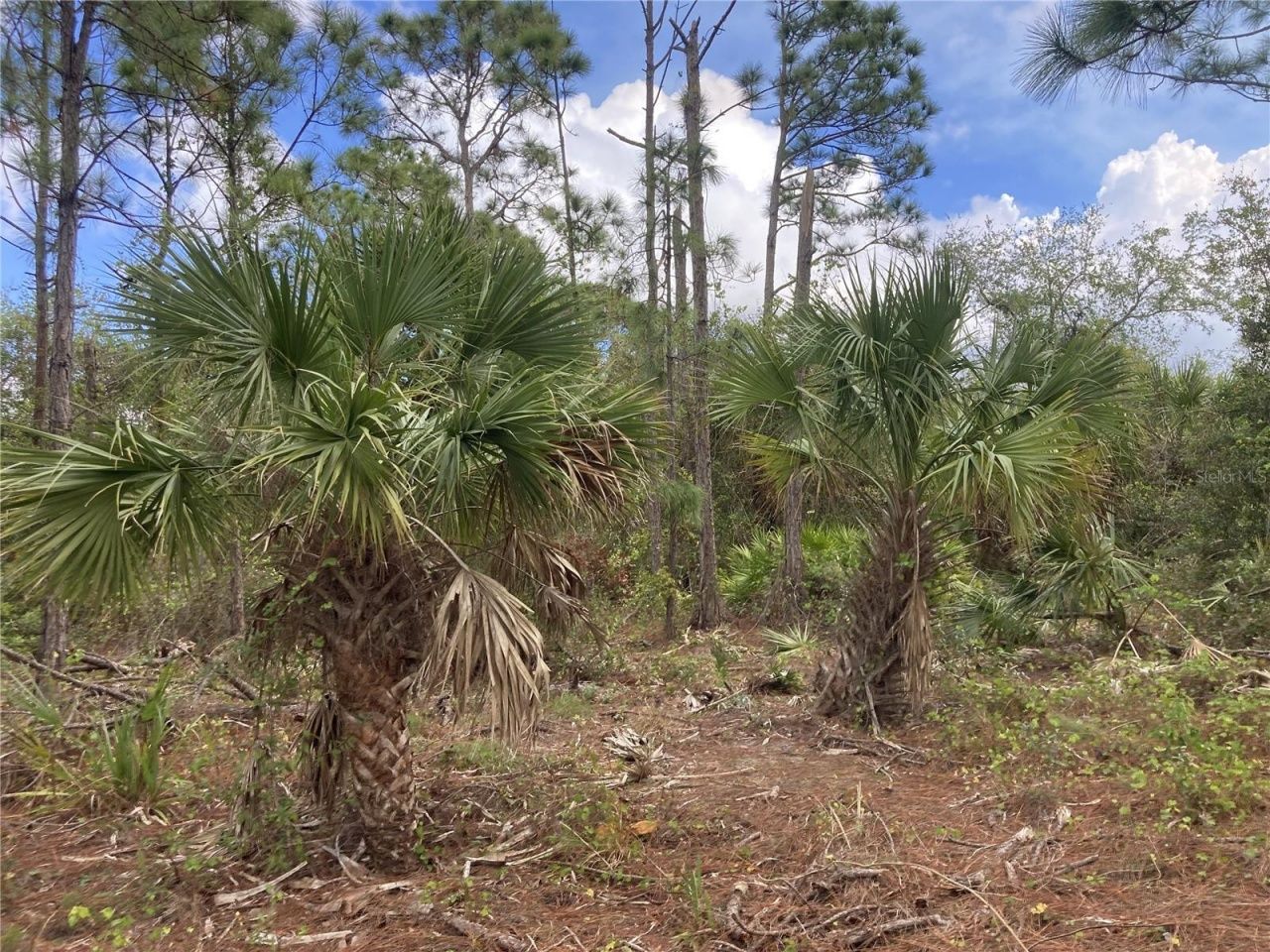 26373 & 26377 Deer Road, Punta Gorda, FL 33955 Photo