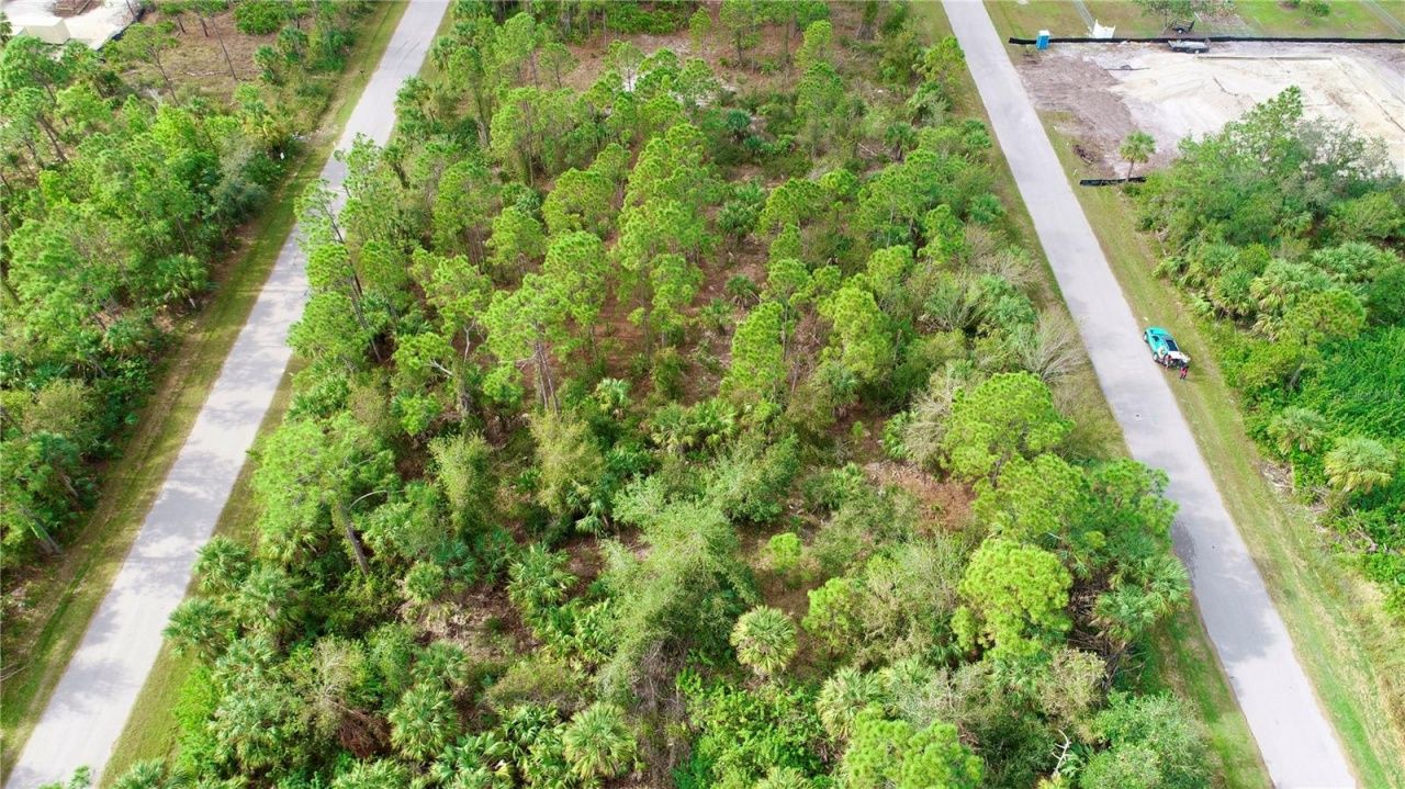 26373 & 26377 Deer Road, Punta Gorda, FL 33955 Photo