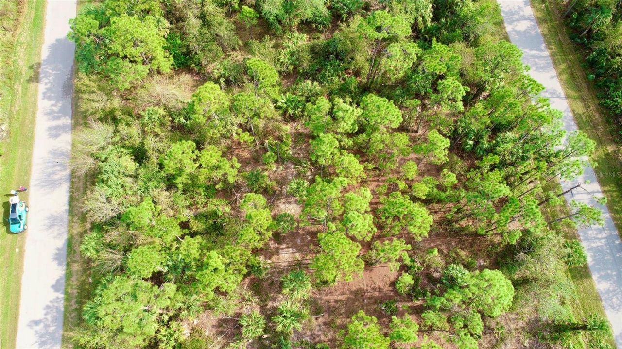 26373 & 26377 Deer Road, Punta Gorda, FL 33955 Photo