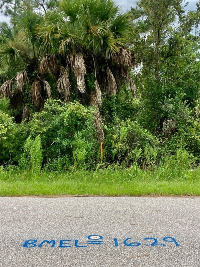 26373 & 26377 Deer Road, Punta Gorda, FL 33955 Photo