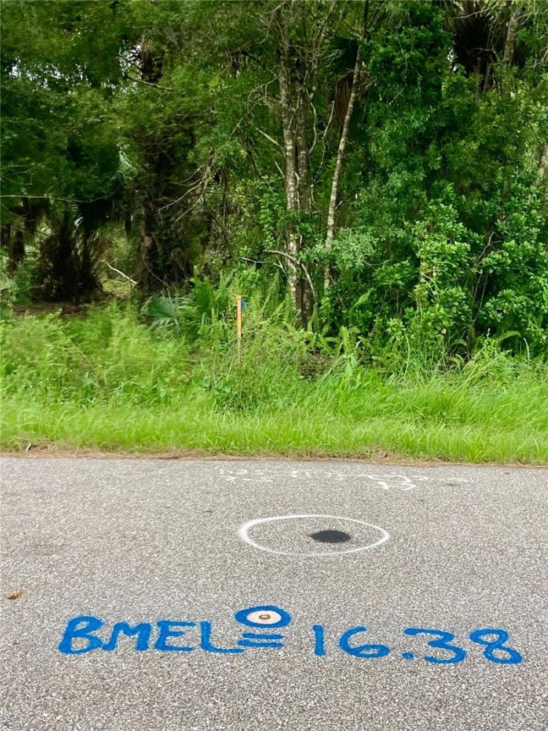 26373 & 26377 Deer Road, Punta Gorda, FL 33955 Photo