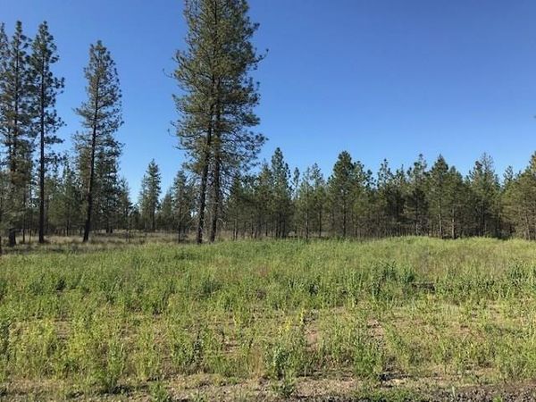 5742 J Corkscrew Canyon Rd, Tumtum, WA 99034