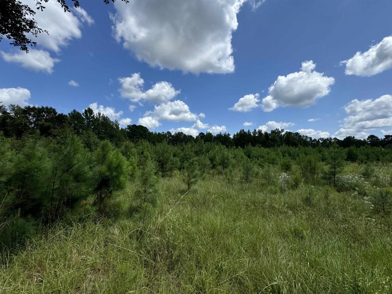 Tbd Graham St. Photo 11