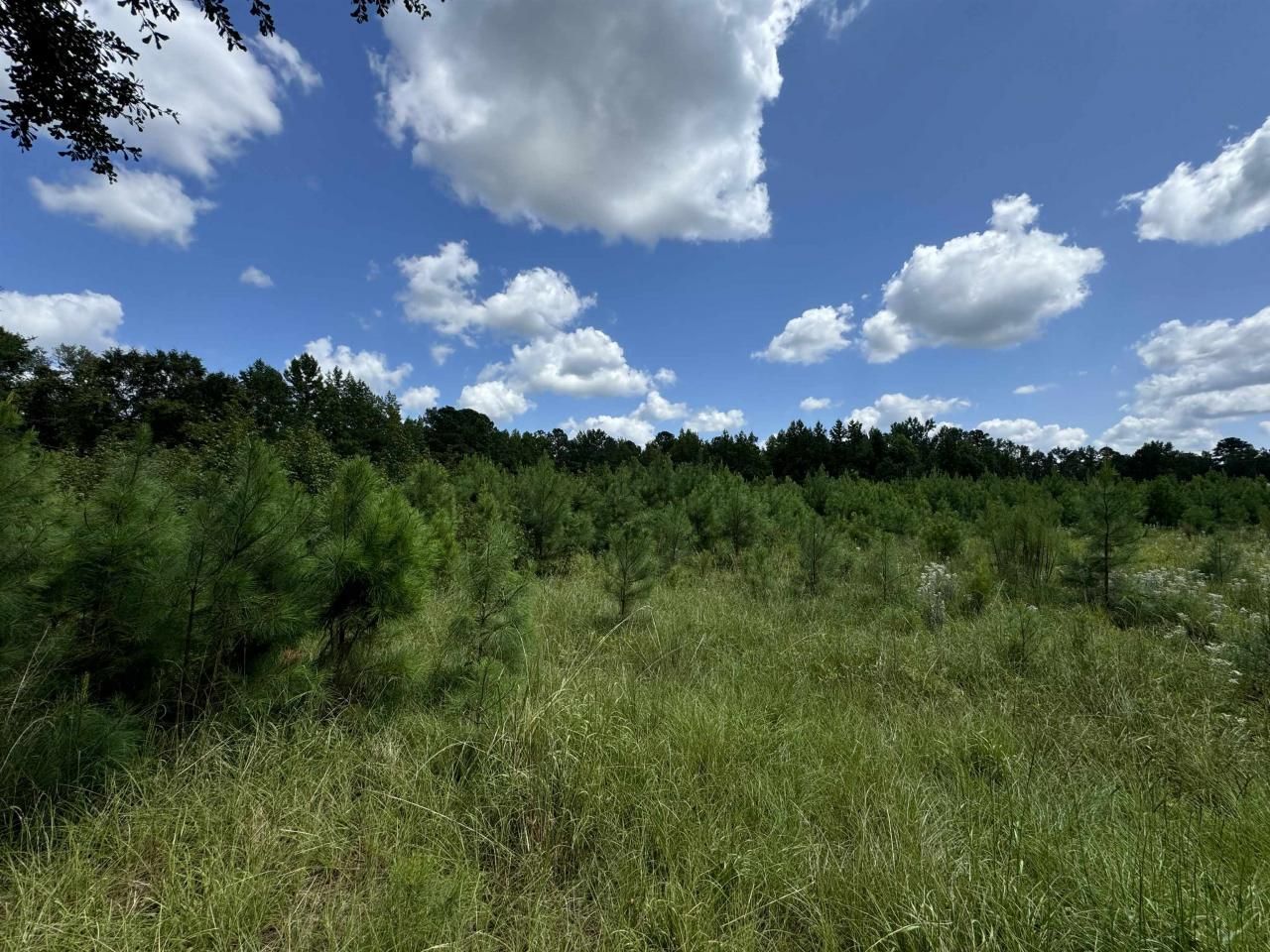 Tbd Graham St. Photo 12