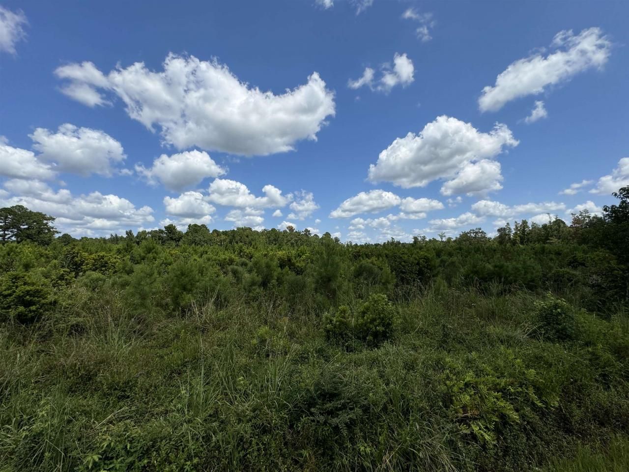 Tbd Graham St. Photo 6