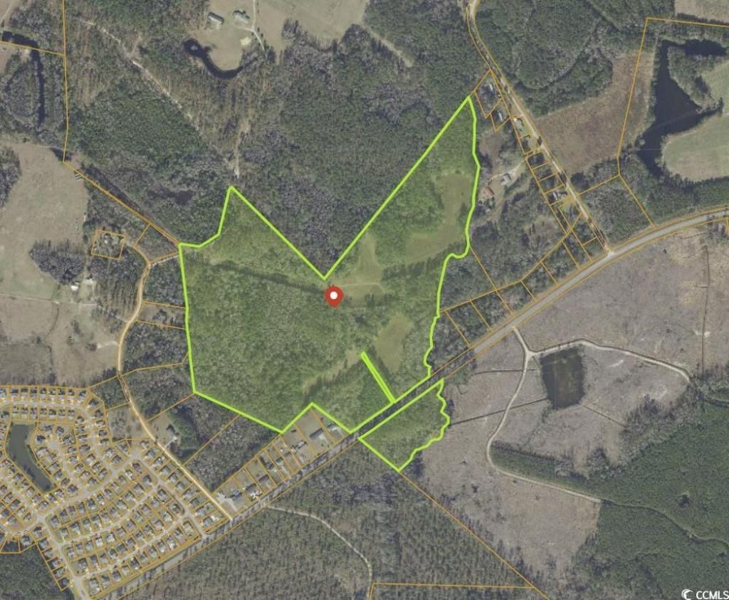 Tbd Highway 905, Longs, SC 29568 Main Photo