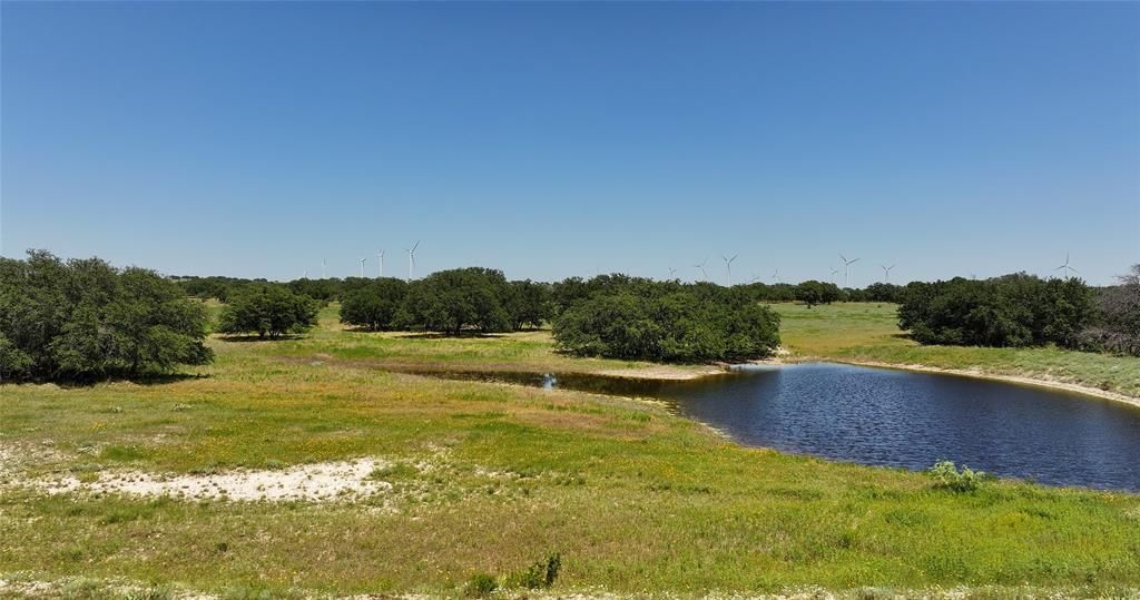 Tbd County Road 130, Goldthwaite, TX 76866 Main Photo