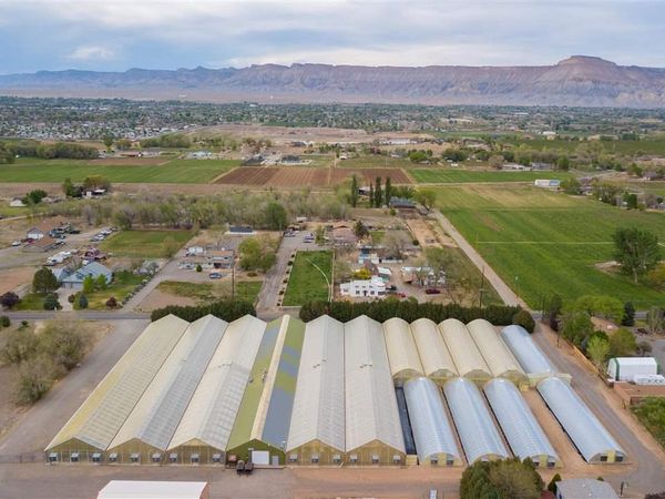 3281 C Road, Palisade, CO 81526