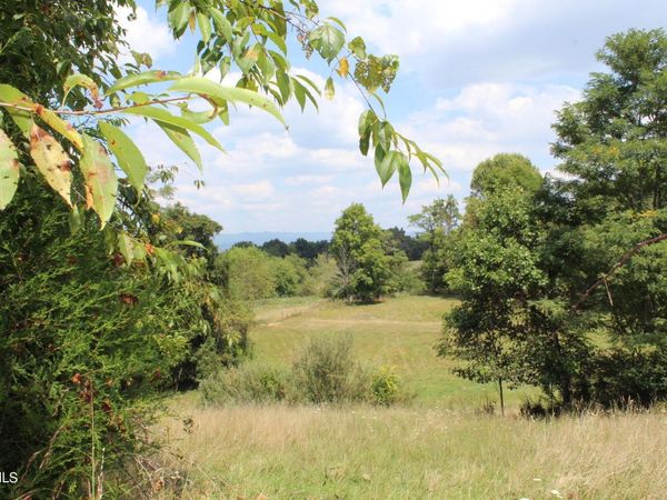 Tbd Chestnut Ridge Road, Chilhowie, VA 24319