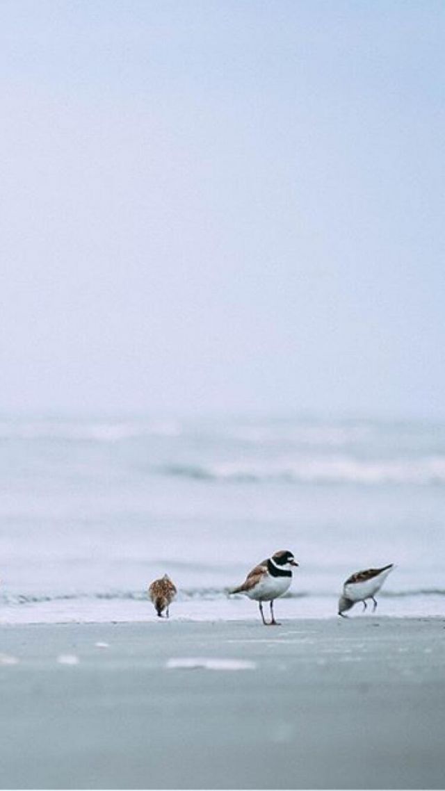 1422 W Meadows Circle, Unit 1422, Boynton Beach, FL 33436 Photo