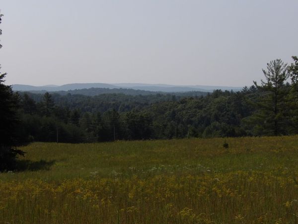 000 Mountain View Drive, Deer Lodge, TN 37726