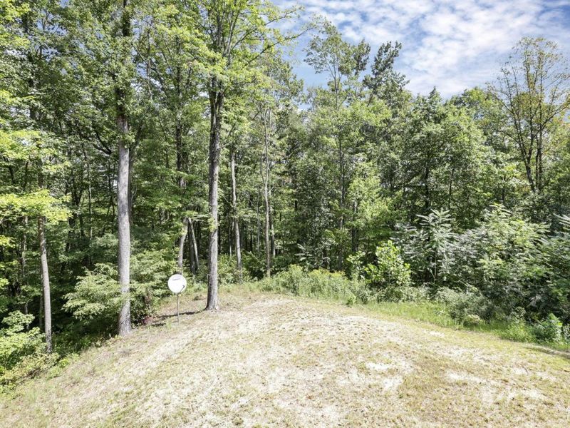 25242 Amerine Road, South Bloomingville, OH 43152 Photo 65