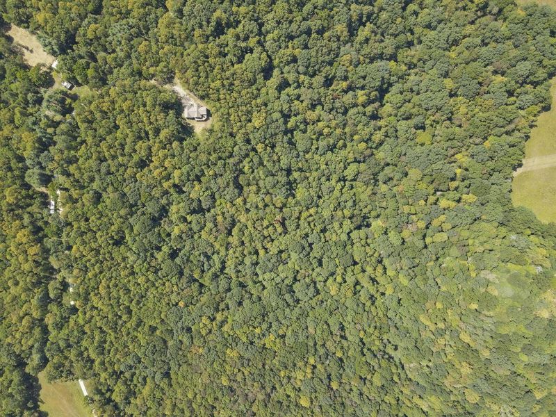 25242 Amerine Road, South Bloomingville, OH 43152 Photo 71