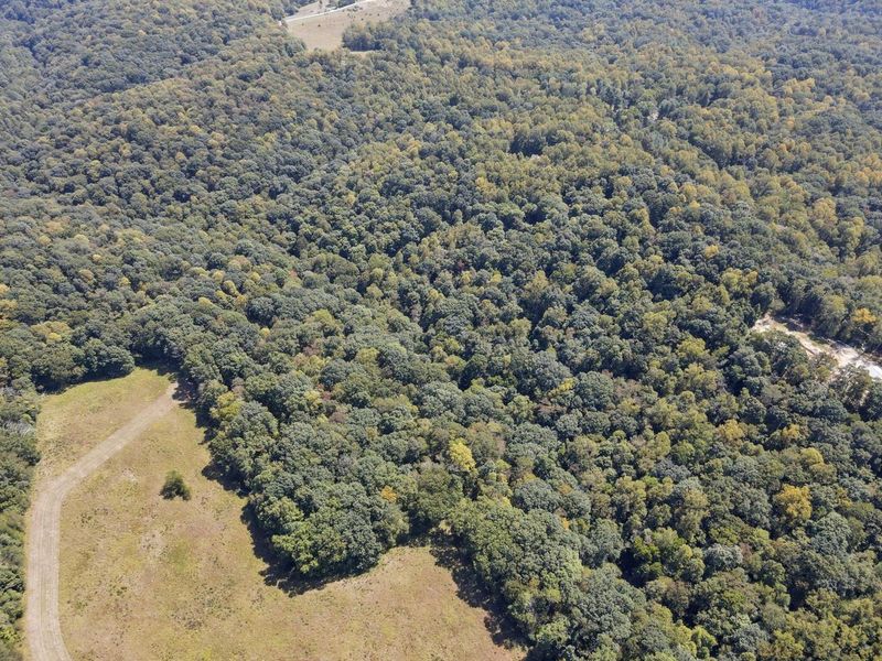 25242 Amerine Road, South Bloomingville, OH 43152 Photo 73