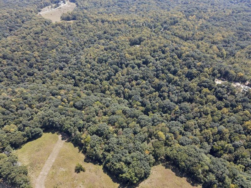 25242 Amerine Road, South Bloomingville, OH 43152 Photo 74